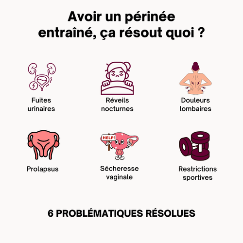 Le PelviTone™ – Entraîneur du plancher pelvien