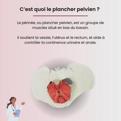 Le PelviTone™ – Entraîneur du plancher pelvien
